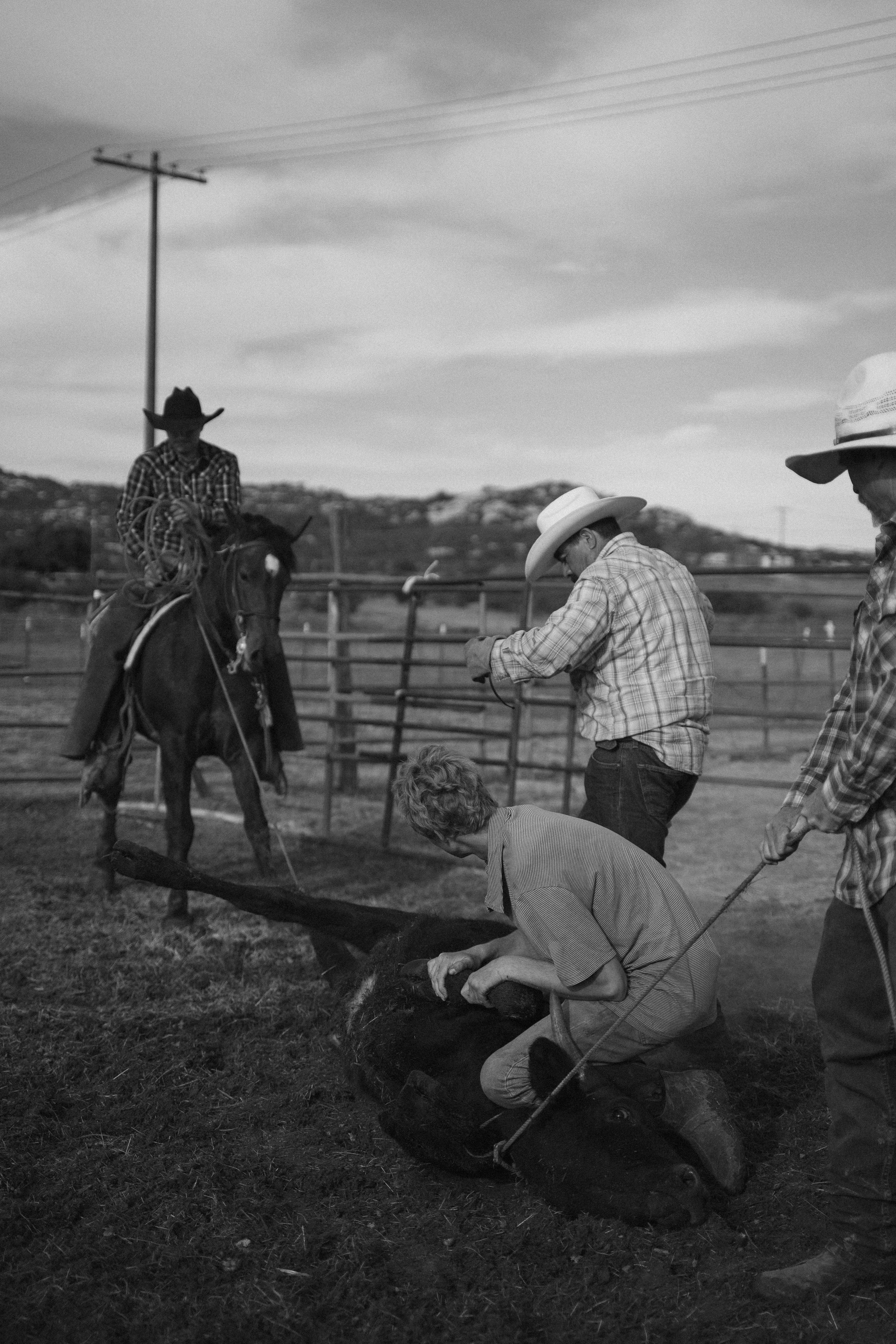 Campo Creek Cattle Company 